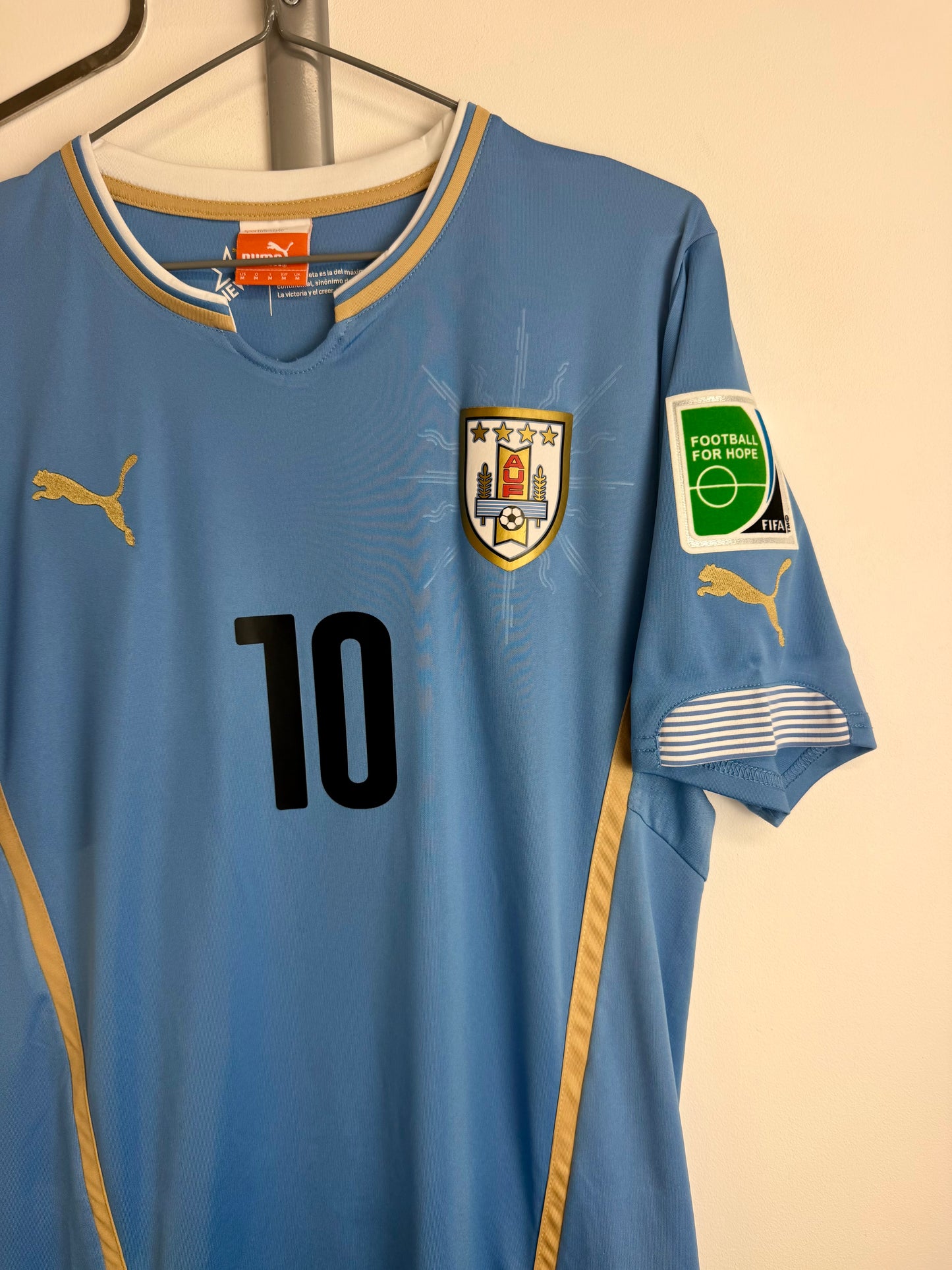 2014 - Uruguay - Forlán
